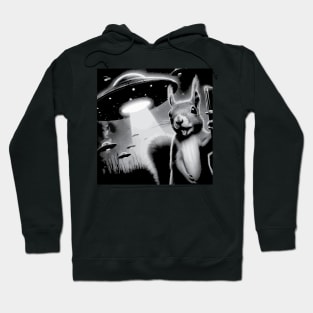 Funny Squirrel Hoodie